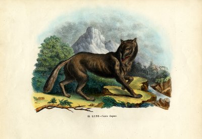 Loup, 1863-79 - Raimundo Petraroja